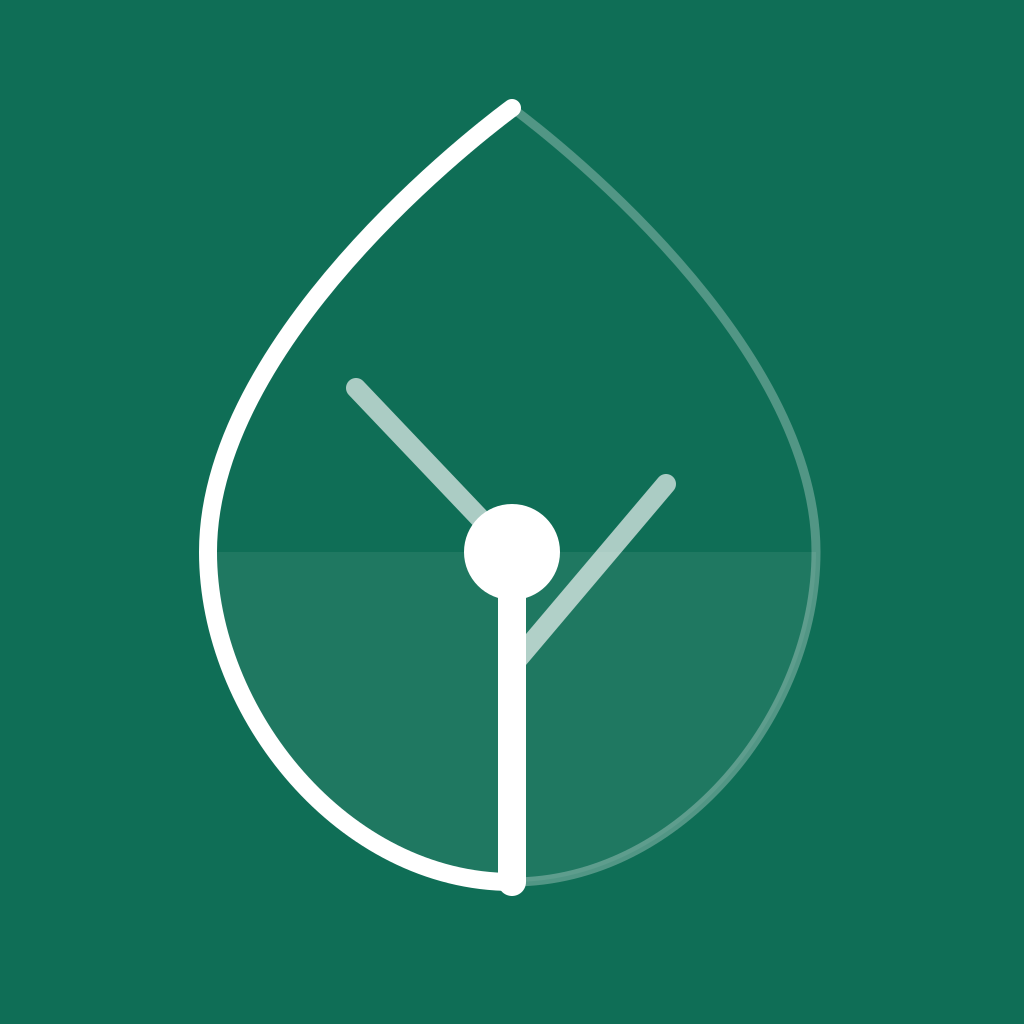erneu Icon